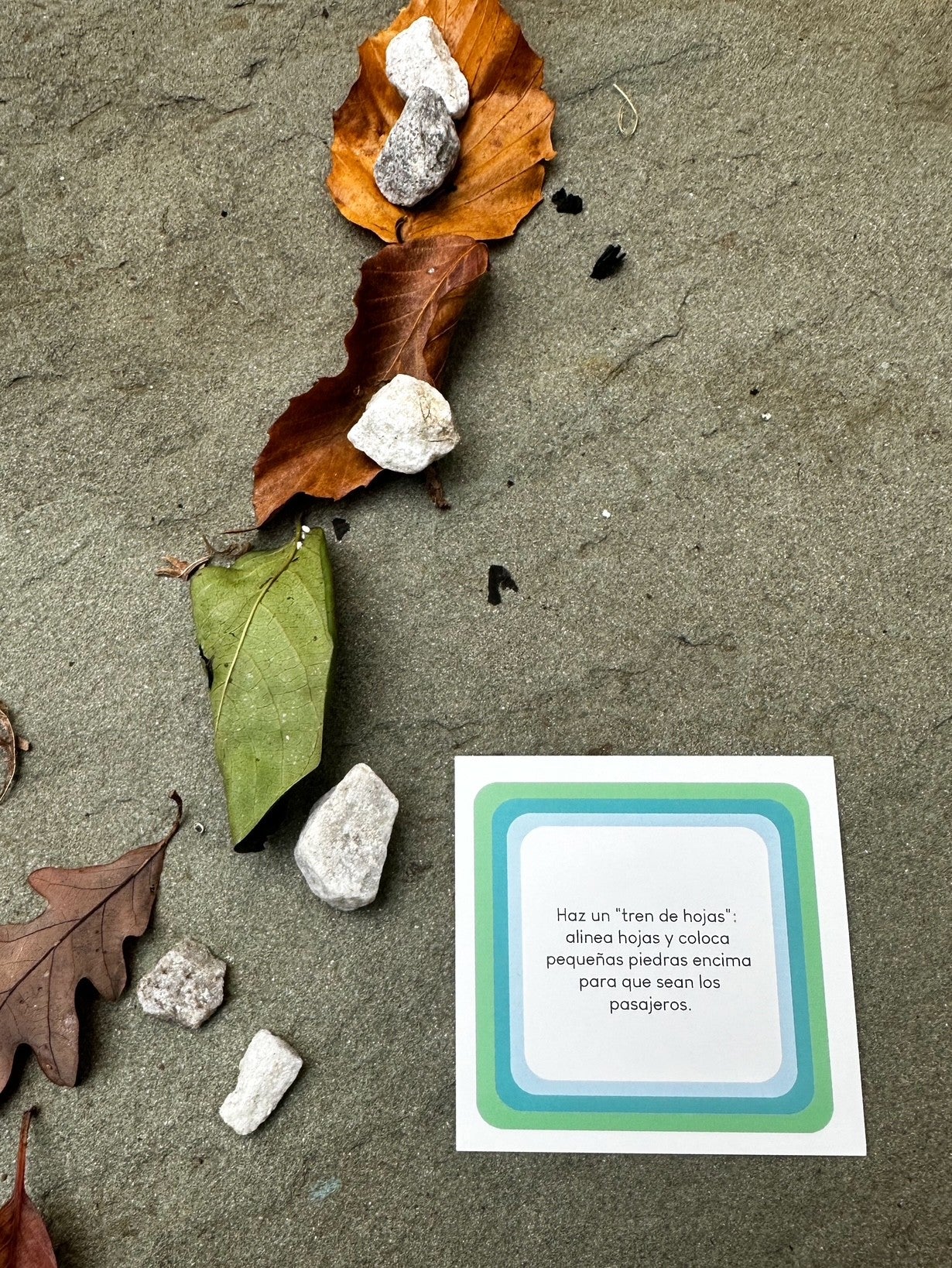 Juega: Conexión a Través de la Diversión